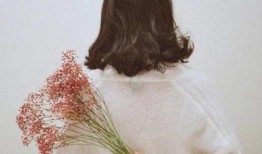 娱乐吃瓜酱背影头像,背影头像背后的故事