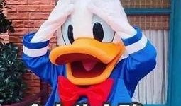 娱乐吃瓜姐买鸭,揭秘“吃瓜姐买鸭”背后的故事