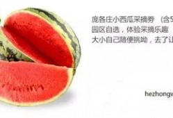 娱乐吃瓜封面怎么做,揭秘明星幕后故事，带你走进娱乐圈风云变幻