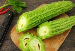 娱乐吃瓜酱植物人