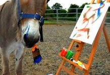 喂驴打一嘴巴子吃瓜娱乐