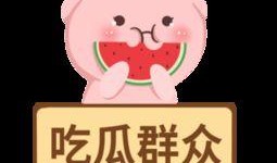 吃瓜娱乐圈素材下载,明星幕后故事全解析