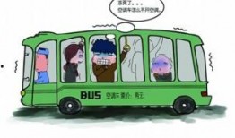 娱乐吃瓜酱小猫坐公交车,萌宠坐公交，趣味横生一幕