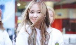 娱乐圈吃瓜程潇小说免费阅读