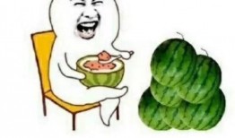 娱乐圈的瓜可以吃