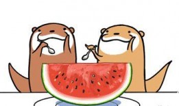 娱乐吃瓜君恶意造谣,真相揭秘！