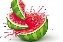 吃瓜宝宝娱乐,揭秘娱乐圈幕后故事，带你领略明星真实生活