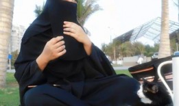 娱乐吃瓜君镜头,娱乐吃瓜君镜头下的娱乐圈风云录