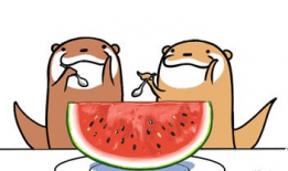 娱乐吃瓜号会不会侵权呢,风险与合规的边界探索