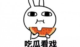 娱乐吃瓜自我介绍,我的趣味生活与八卦世界