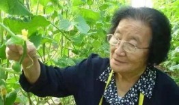 娱乐吃瓜酱植物人