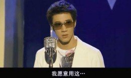 娱乐圈吃瓜王力宏是谁啊