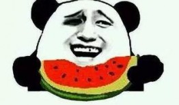 娱乐吃瓜最后一集是什么,揭秘娱乐圈真相，悬念揭晓！