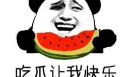 娱乐吃瓜酱你养过什么小众的,揭秘我那些不为人知的小众宠物