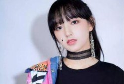 娱乐圈吃瓜程潇小说免费阅读