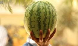 娱乐圈吃瓜是什么,揭秘明星背后的故事与真相