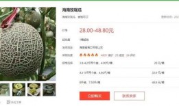 娱乐吃瓜酱报备,明星幕后故事大曝光！