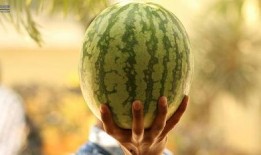 娱乐圈的瓜可以吃