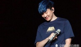 娱乐圈吃瓜爆料林俊杰视频,揭秘明星幕后生活