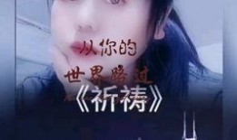 娱乐吃瓜酱看演唱会,演唱会现场狂欢瞬间